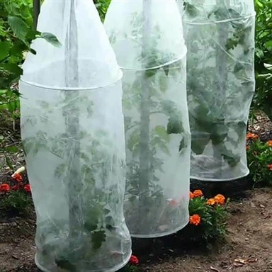 Clúdach Talún Neamh-Uigí